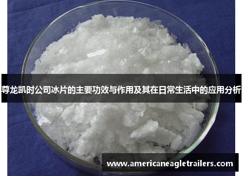 尊龙凯时公司冰片的主要功效与作用及其在日常生活中的应用分析